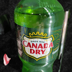 Best Bottle Ginger Ale in Charlotte, NC